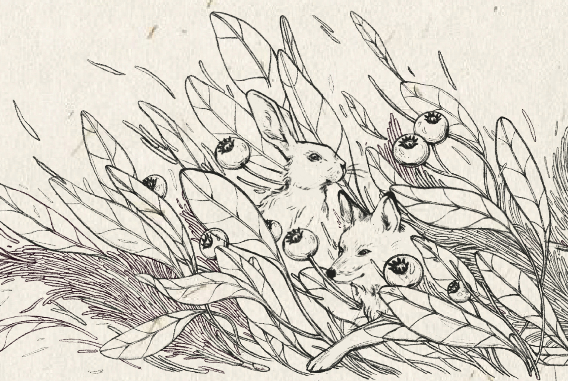 Field Fable logo design